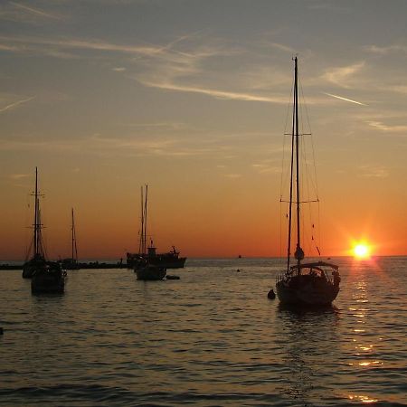 Tamaris, 600 M From The Beach Novigrad Istria Esterno foto